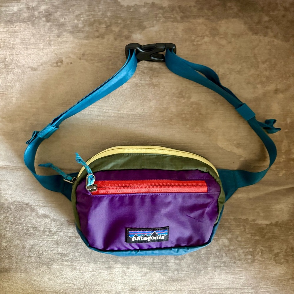Patagonia belt bag